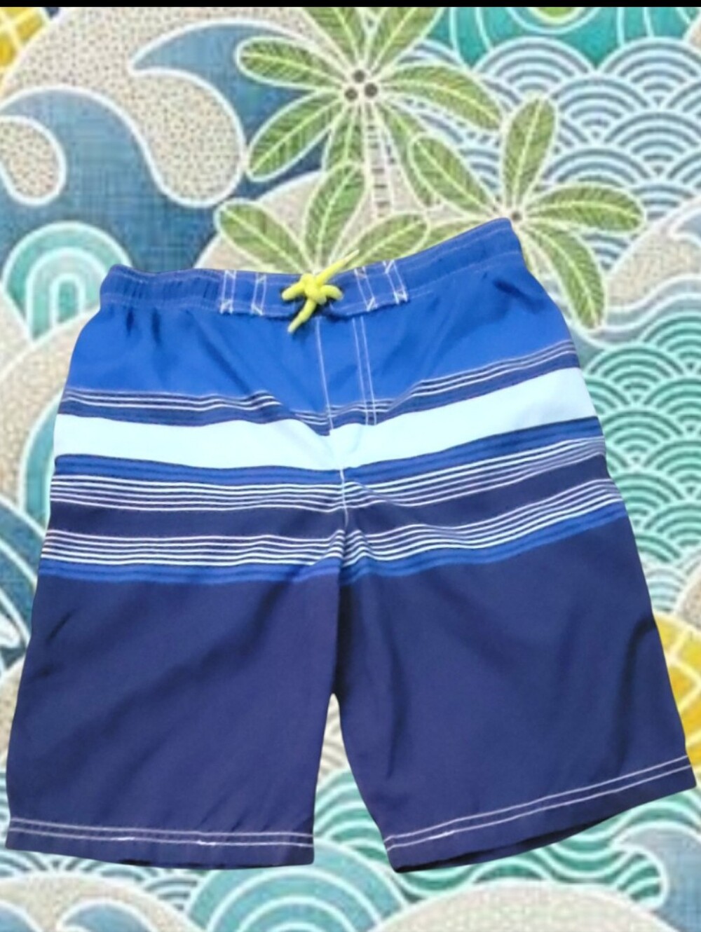 Carter's Boy's Blue Layered Striped Swim Trunks